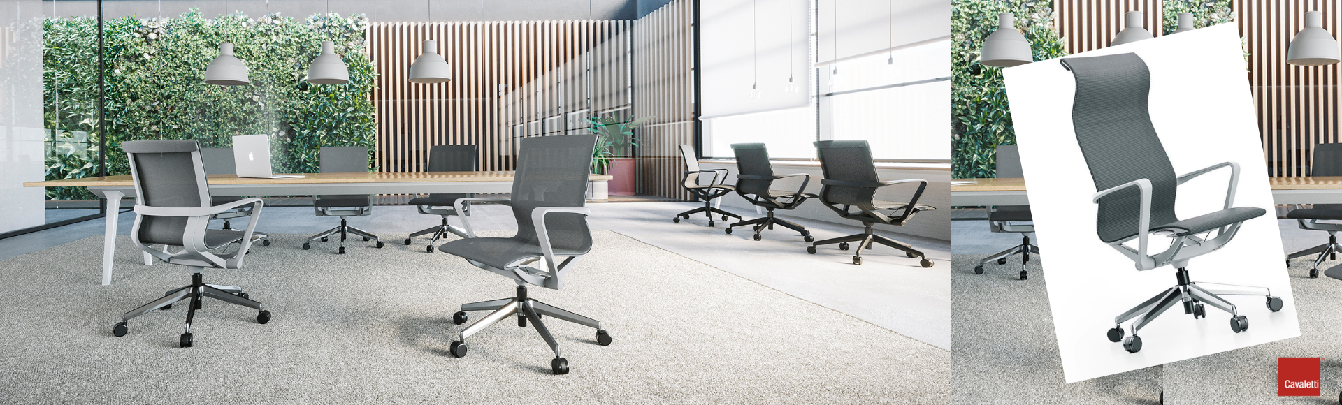 Banner grande site aura